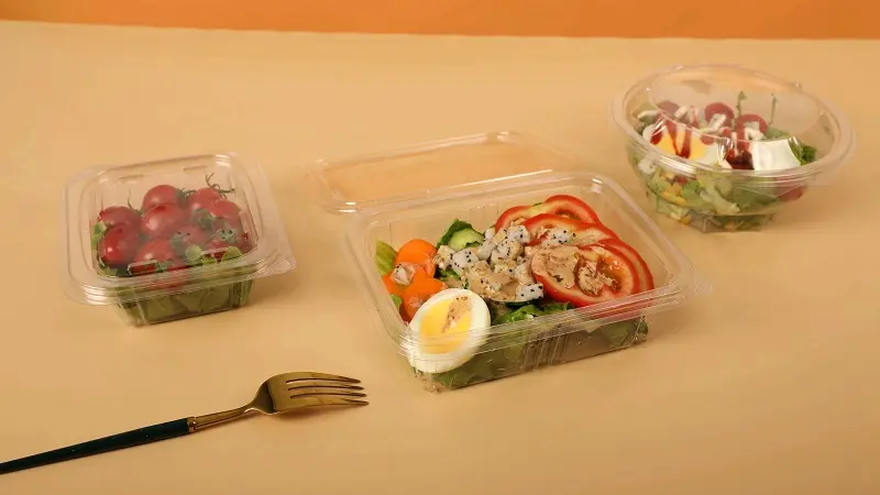 Rectangle Food Container
