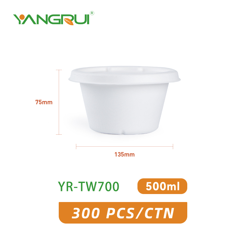 eco friendly to go containers wholesale