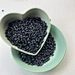 PBT Raw material pellet