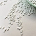 PBT Zhangzhou Changchun 4830 NCF