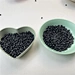 PBT Raw material pellet