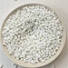 PBT Zhangzhou Changchun 4815 NCF
