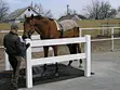 2-RAILS ranch fence
