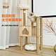best looking pet furniture wholesale cat tree condo kitten scratcher house