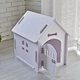 house trained dogs for sale