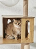 buy cat tree