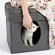 cat grooming home service