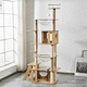 cat tree price