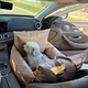 logo label customized wholesale manufacturer 100% waterproof dog car seat multifunctional dog car seat with seat belt