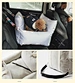 car pet nest