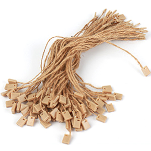 garment PE lock seal tag string