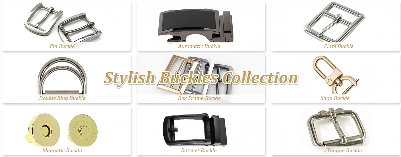 stylish buckles collection
