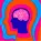 Nootropics—10 Popular Ingredients for Brain Nutrition
