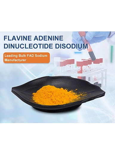 Flavin Adenine Dinucleotide