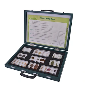Plant Kingdoms Set Plant Specimens