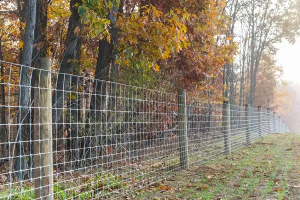 woven wire fencing