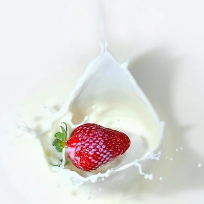 DMG for dairy products