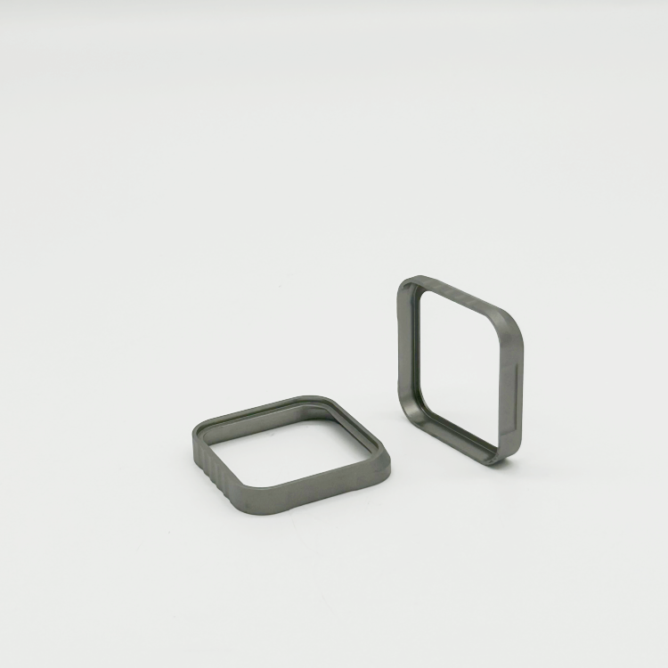 watch case