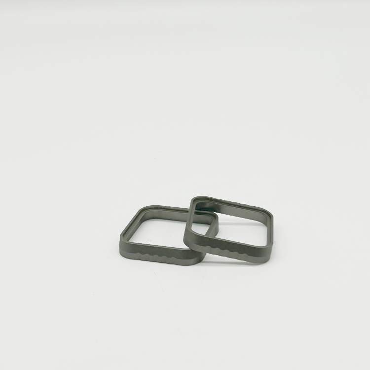 watch case