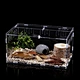 Reptile Feeding Box