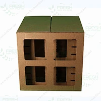 Honey Comb Paper Filter Box