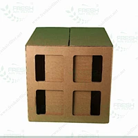 Honey Comb Paper Filter Box