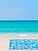 beach mat /picnic mat