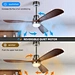 Wildwood ceiling fan Fanplus