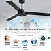 Modern ceiling fan 52 inch BLDC Fanplus
