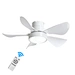 Ceiling fan best dc motor for fan Fanplus