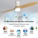 Timber ceiling fan two blades Fanplus