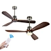 Wildwood ceiling fan Fanplus