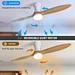Timber ceiling fan two blades Fanplus