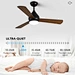 Morden Ceiling Fans light Fanplus