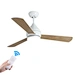 Morden Ceiling Fans light Fanplus