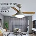 Ceiling fan fan reverse function Fanplus