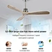 Wildwood ceiling fan Fanplus