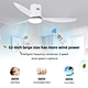 Ceiling Fan stylish ceiling Fanplus