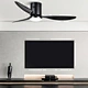 Ceiling Fan stylish ceiling Fanplus