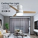 Ceiling fan ceiling fan power Fanplus