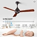 Morden Ceiling Fans reversible plywood Fanplus