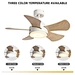 Smart ceiling fan 5 blades Fanplus