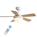 Ceiling Fan standard brand ceiling fan Fanplus