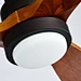 Wildwood ceiling fan Fanplus