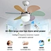 Ceiling Fan ceiling fan top 10 company Fanplus