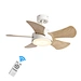 Smart ceiling fan 5 blades Fanplus