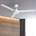 Modern ceiling fan 52 inch BLDC Fanplus