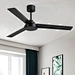 Modern ceiling fan 52 inch BLDC Fanplus