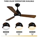 Morden Ceiling Fans light Fanplus