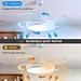Ceiling Fan fan manufacturers near me Fanplus